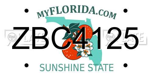 ZBC4125 Florida License Plate