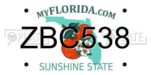 ZBC538 Florida License Plate