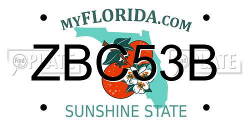 ZBC53B Florida License Plate
