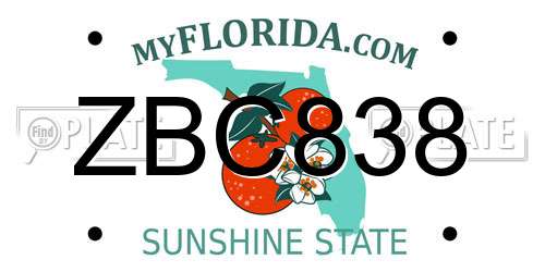 ZBC838 Florida License Plate