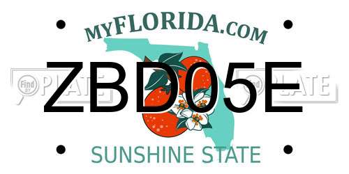 ZBD05E Florida License Plate