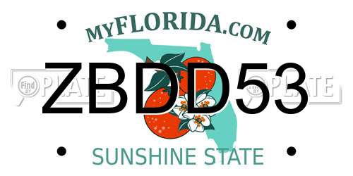 ZBDD53 Florida License Plate