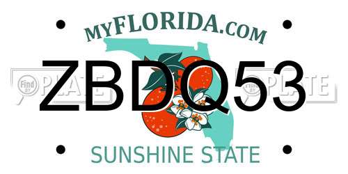 ZBDQ53 Florida License Plate