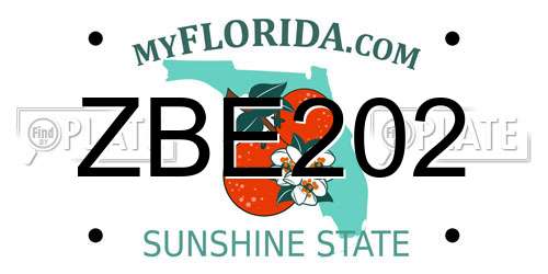 ZBE202 Florida License Plate