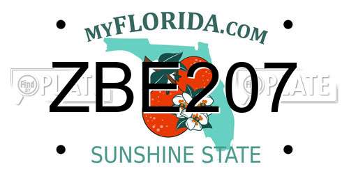 ZBE207 Florida License Plate