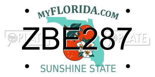 ZBE287 Florida License Plate