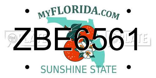 ZBE6561 Florida License Plate