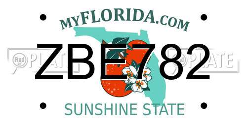 ZBE782 Florida License Plate