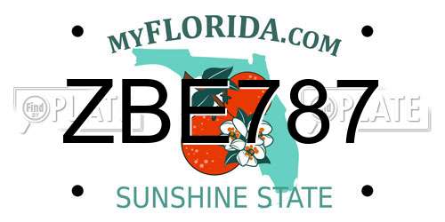 ZBE787 Florida License Plate