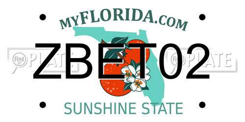 ZBET02 Florida License Plate