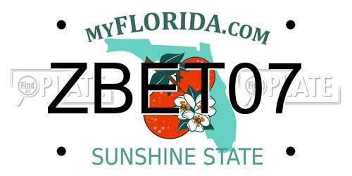 ZBET07 Florida License Plate
