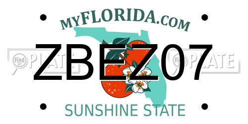 ZBEZ07 Florida License Plate