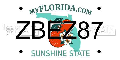 ZBEZ87 Florida License Plate