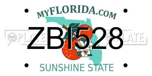 ZBI528 Florida License Plate