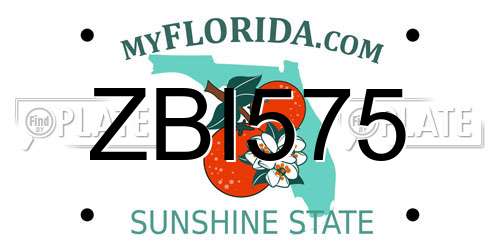 ZBI575 Florida License Plate