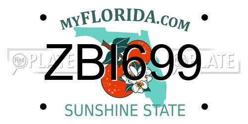 ZBI699 Florida License Plate