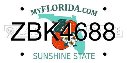 ZBK4688 Florida License Plate