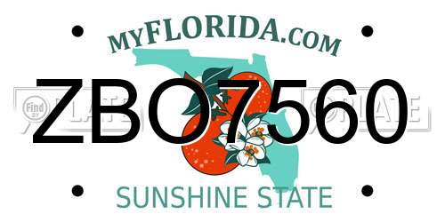 ZBO7560 Florida License Plate