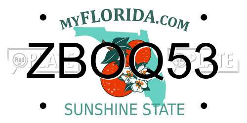 ZBOQ53 Florida License Plate