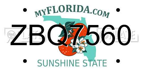 ZBQ7560 Florida License Plate