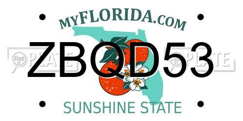 ZBQD53 Florida License Plate