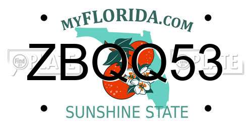 ZBQQ53 Florida License Plate
