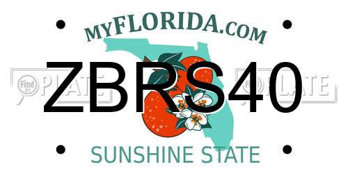 ZBRS40 Florida License Plate