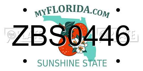ZBS0446 Florida License Plate