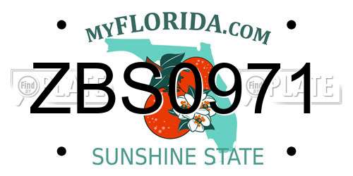 ZBS0971 Florida License Plate