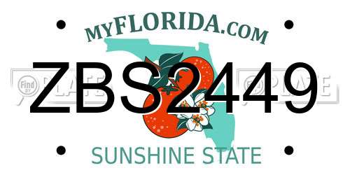 ZBS2449 Florida License Plate