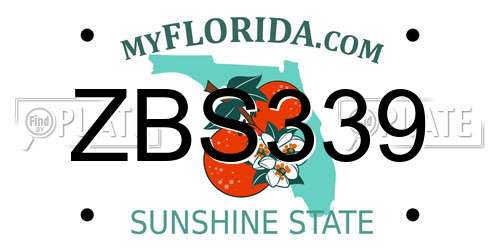 ZBS339 Florida License Plate