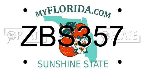 ZBS357 Florida License Plate