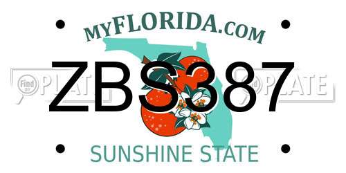ZBS387 Florida License Plate