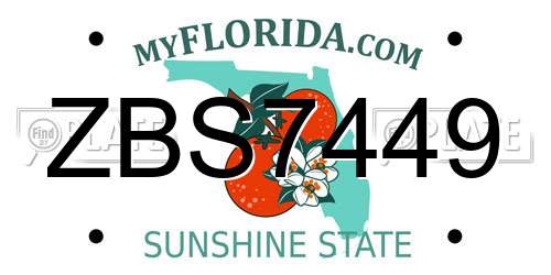 ZBS7449 Florida License Plate
