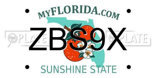 ZBS9X Florida License Plate