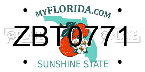 ZBT0771 Florida License Plate