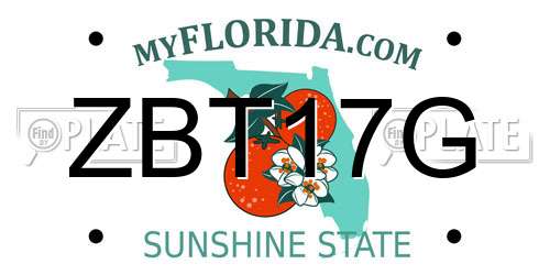 ZBT17G Florida License Plate