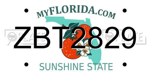 ZBT2829 Florida License Plate