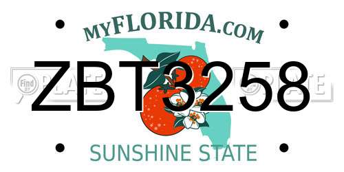 ZBT3258 Florida License Plate
