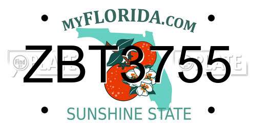 ZBT3755 Florida License Plate