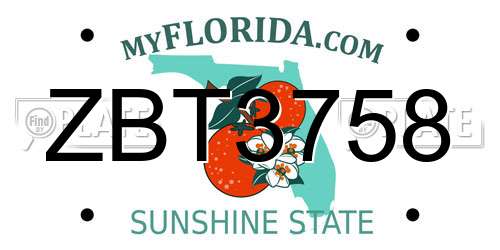 ZBT3758 Florida License Plate