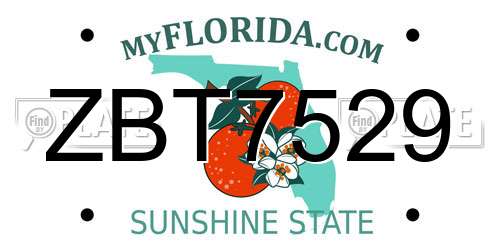 ZBT7529 Florida License Plate