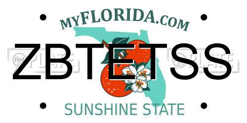 ZBTETSS Florida License Plate