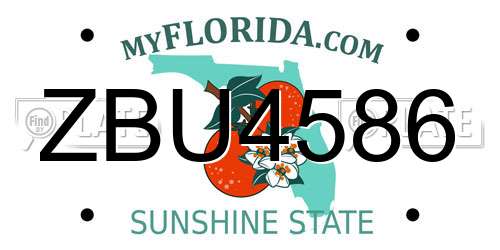 ZBU4586 Florida License Plate