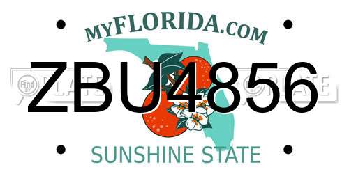 ZBU4856 Florida License Plate