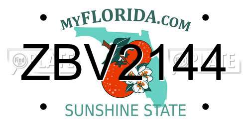 ZBV2144 Florida License Plate