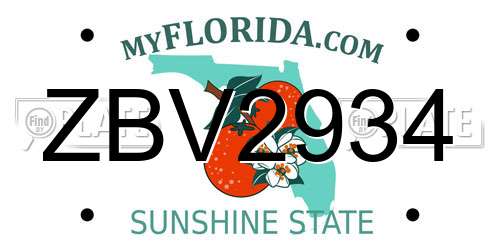 ZBV2934 Florida License Plate