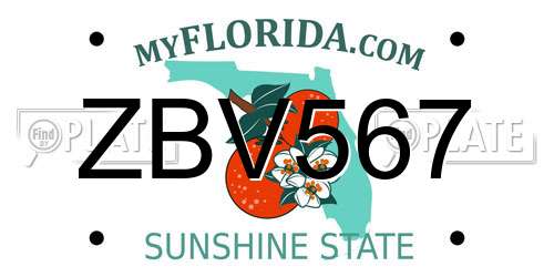 ZBV567 Florida License Plate