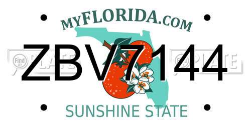 ZBV7144 Florida License Plate