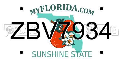 ZBV7934 Florida License Plate